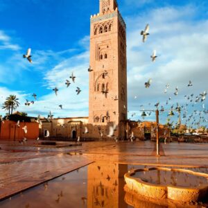 Essential travel tips for Morocco Before Your First time visit morocco