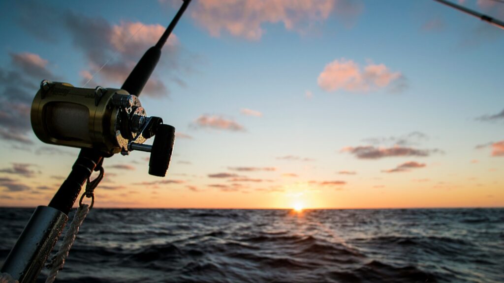 The Ultimate Seasonal Guide to Cabo San Lucas fishing: What You Can Catch and When