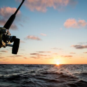 The Ultimate Seasonal Guide to Cabo San Lucas fishing: What You Can Catch and When