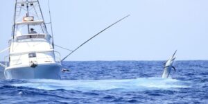 What to Look For When Selecting High-End Cabo San Lucas Fishing Charters