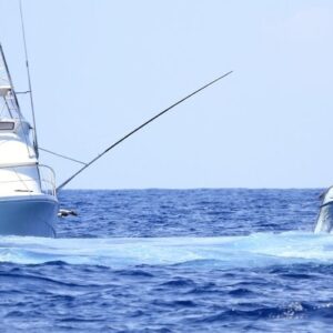 What to Look For When Selecting High-End Cabo San Lucas Fishing Charters